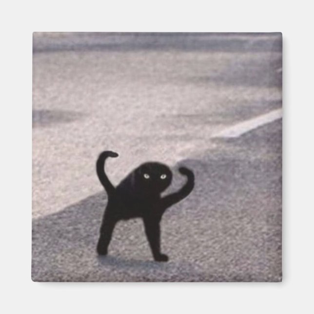 Verfluchte Katzen-Meme Magnet (Vorne)