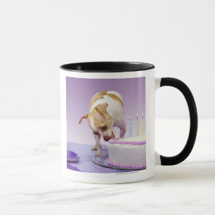 Verfolgen Sie (Chihuahua) das Essen des Tasse
