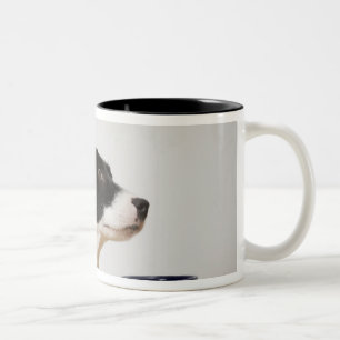 Verfolgen Sie das Sitzen auf einem Stuhl vor einer Zweifarbige Tasse