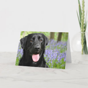 Verfolgen Sie in der Bluebells-Gruß-Karte Karte