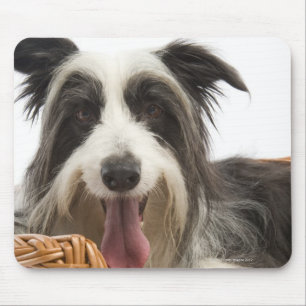 Verfolgen Sie in Korb 2 Mousepad
