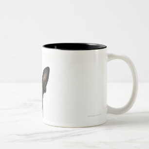 verfolgen Sie stehendes auf 2 Beinen, die Kamera Zweifarbige Tasse