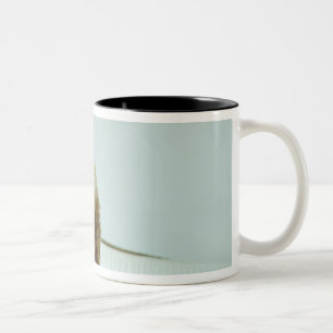 Verfolgen Sie stehendes auf einer Couch mit einem Zweifarbige Tasse