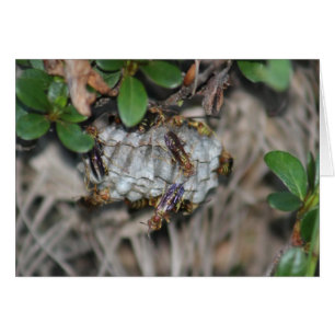 Verfolger Jackers #2