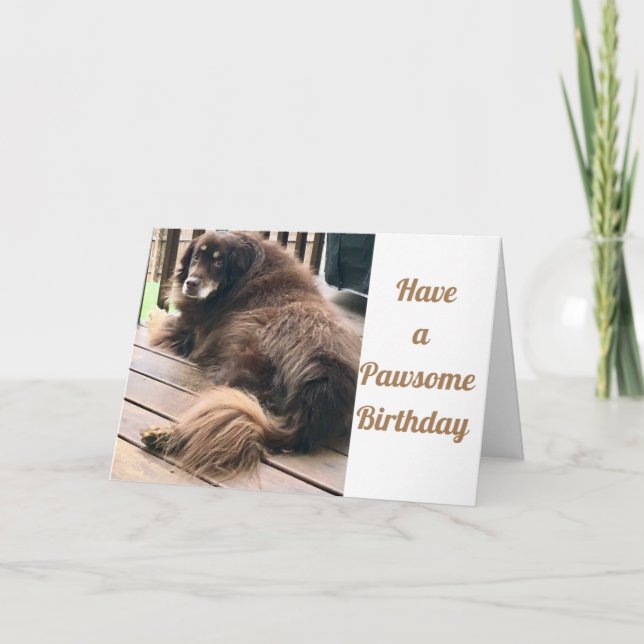 VERFÜGEN ÜBER EINEN GEBURTSTAG*** KARTE (Vorderseite)