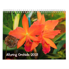 Verführerische Orchideen 2021 Kalender