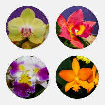 Verführerische Orchideen 4 Set für Acrylsäure-Unte