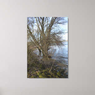 Vergangene Orte , alte Bäume am Ufer des Flusses Leinwanddruck