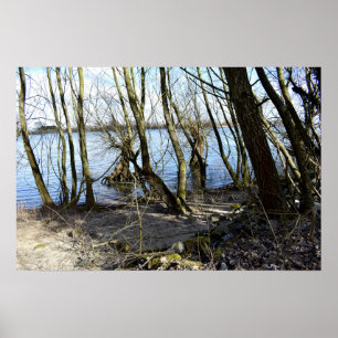 Vergangene Orte , alte Bäume am Ufer des Flusses Poster
