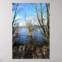 Vergangene Orte , alte Bäume am Ufer des Flusses