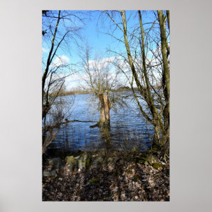 Vergangene Orte , alte Bäume am Ufer des Flusses Poster