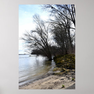 Vergangene Orte , alte Bäume am Ufer des Flusses Poster