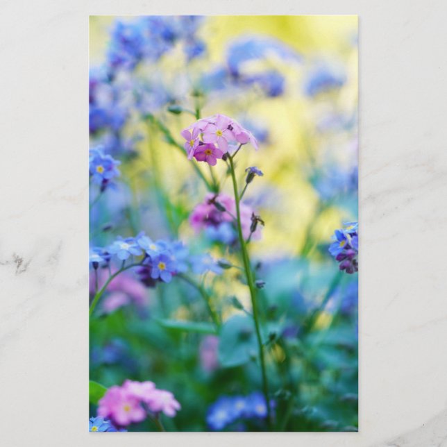 Vergessen-Ich-Nicht-Blume Briefpapier (Vorderseite)