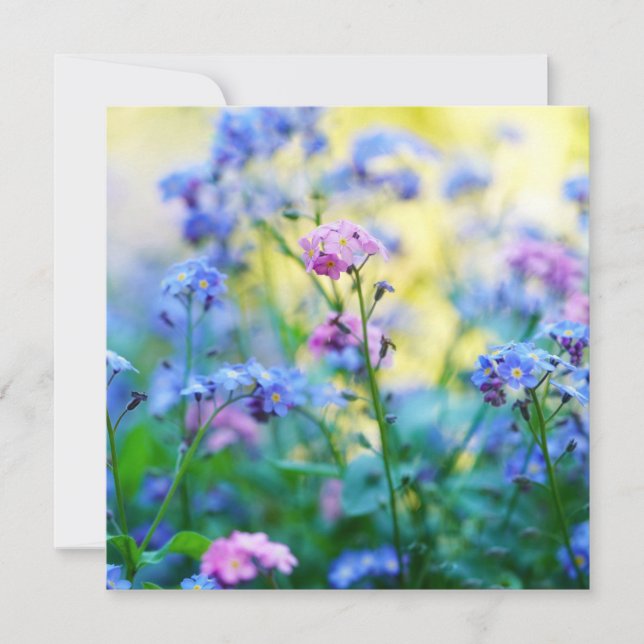 Vergessen-Ich-Nicht-Blume Karte (Vorderseite)