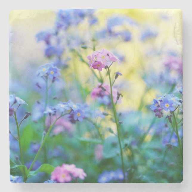 Vergessen-Ich-Nicht-Blume Steinuntersetzer (Vorderseite)