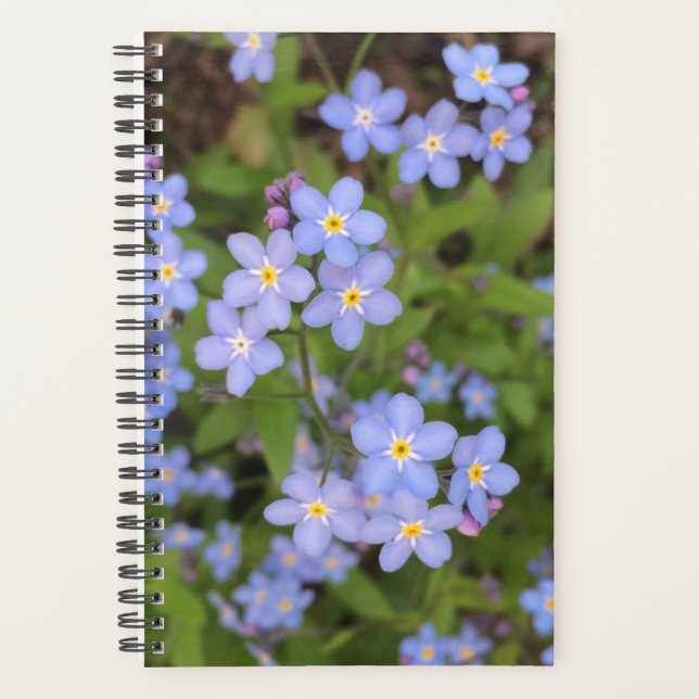 Vergessen-Me-Nicht-Blume-Planer Planer (Vorderseite)