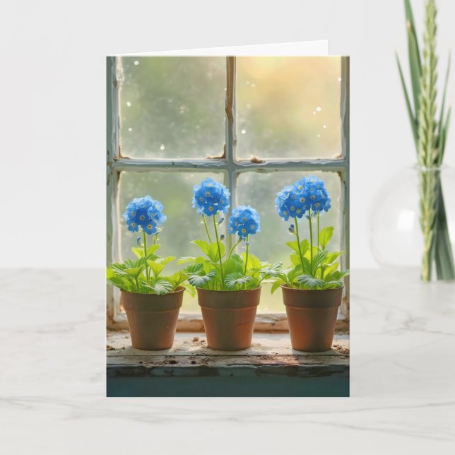 Vergessen-Me-Nicht-Blume-Punkte in einem Fenster (Vorderseite)