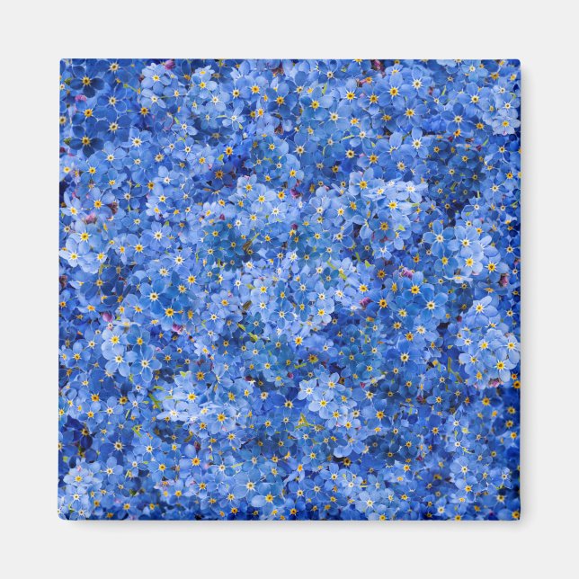 Vergessen Sie mir nicht das Muster der Blume Magnet (Vorne)