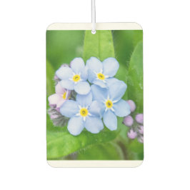 Vergessen Sie nicht Autolufterfrischer