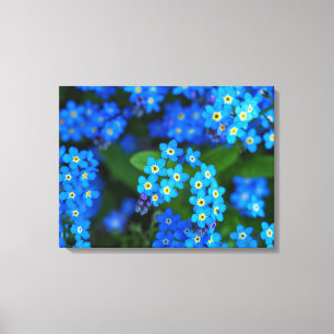 Vergessen Sie nicht-Blume Wrapped Canvas Art Leinwanddruck
