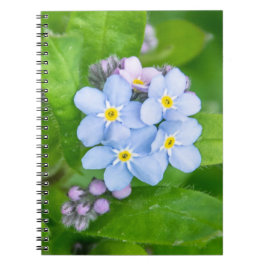 Vergessen Sie nicht, Spiral Foto Notebook Notizblock