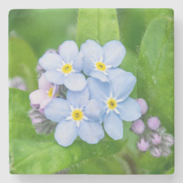 Vergessen Sie nicht, Stone Untersetzer