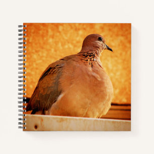 Vergessene Erinnerungen Notizbuch