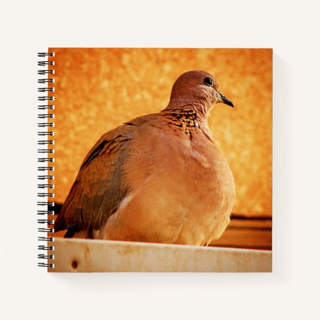 Vergessene Erinnerungen Notizbuch (Vorderseite)