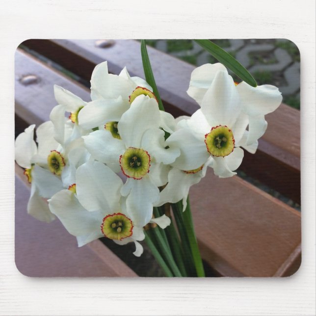 vergessener Strauß Mousepad (Vorne)