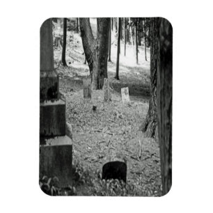 Vergessenes Grab Magnet