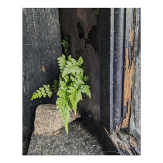 Vergessenes Inneres mit Fern und Weathered Paint. Poster
