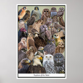 Vergewaltiger des Westens Poster