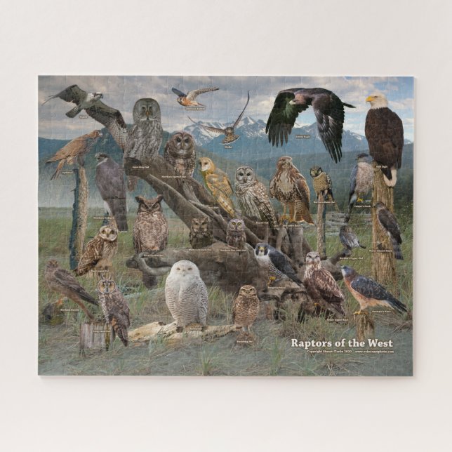 Vergewaltiger des Westpuzzles (Horizontal)