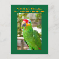 Vergiss den Cracker, Polly Will eine Postkarte, Pa