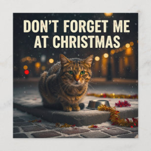 Vergiss die Katzen nicht zu Weihnachten Bild Kunst Einladung