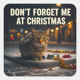 Vergiss die Katzen nicht zu Weihnachten Bild Kunst Quadratischer Aufkleber