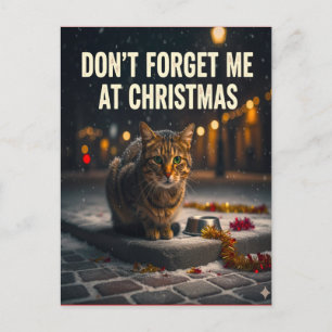 Vergiss die Katzen zu Weihnachten Bild Kunst nicht Postkarte