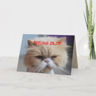 Vergiss_es Perserkatzen Humor Karte
