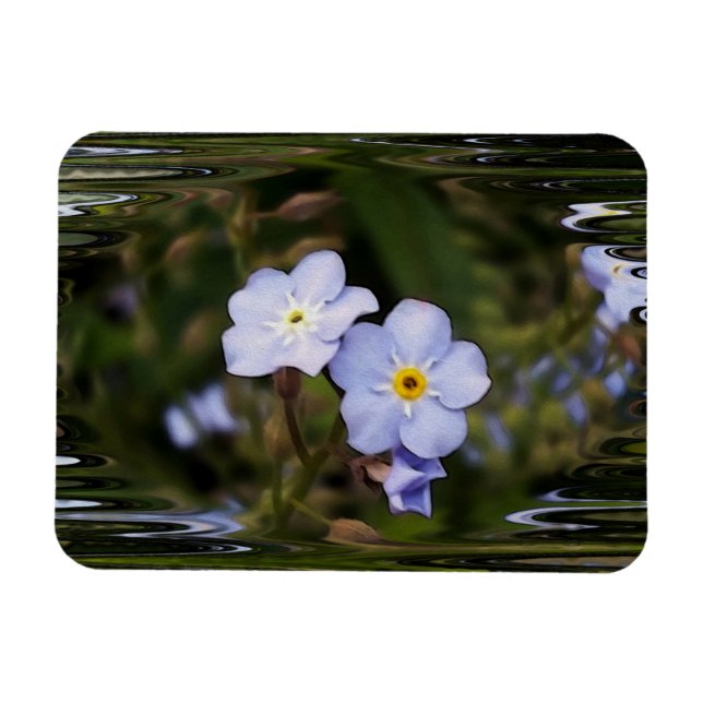 Vergiss mich nicht Blume Magnet (Horizontal)