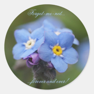 Vergiss mich nicht für immer und immer! runder aufkleber