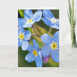 Vergiss nicht, dass ich nicht blüht romantischen D Dankeskarte