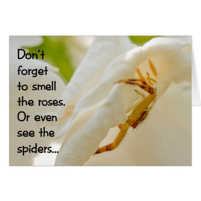 Vergiss nicht, die Rose zu riechen (Vorderseite (Horizontal))