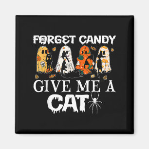 Vergiss Süßigkeiten, gib einer Katze einen lustige Magnet
