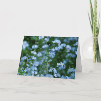 Vergissmeinnicht-Blumen-Karte Karte