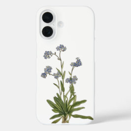 Vergissmeinnicht-Wildblumen-Handyhülle iPhone 16 Hülle