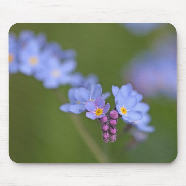 Vergissmeinnichte Mousepad (Vorne)