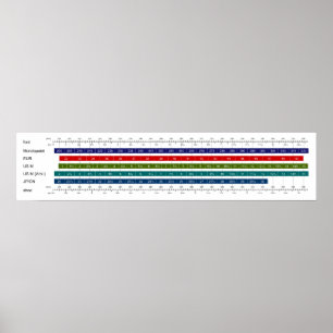 Vergleichstabelle für die Schuhgröße bei Erwachsen Poster