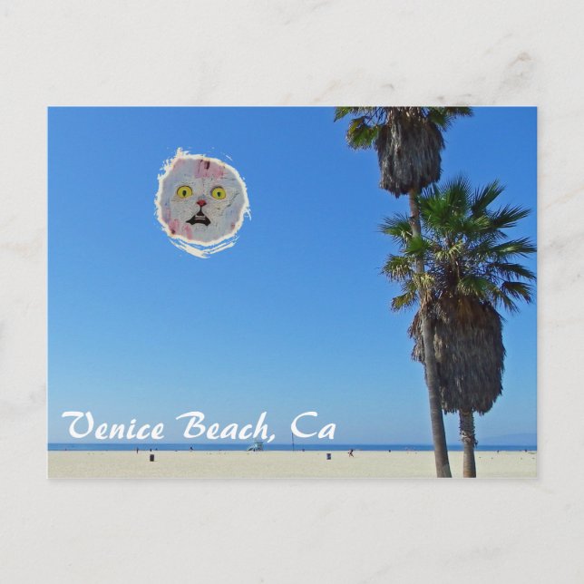 Vergnügen Venedig Beach Postcard! Postkarte (Vorderseite)