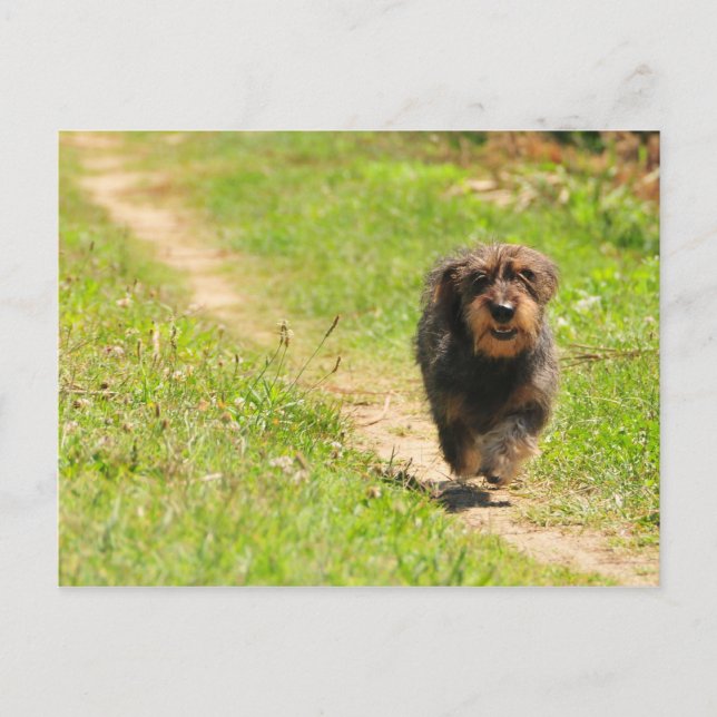 Vergnügungszeit Postkarte (Vorderseite)