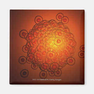 Vergrößerter Blick auf ein Ovum Magnet